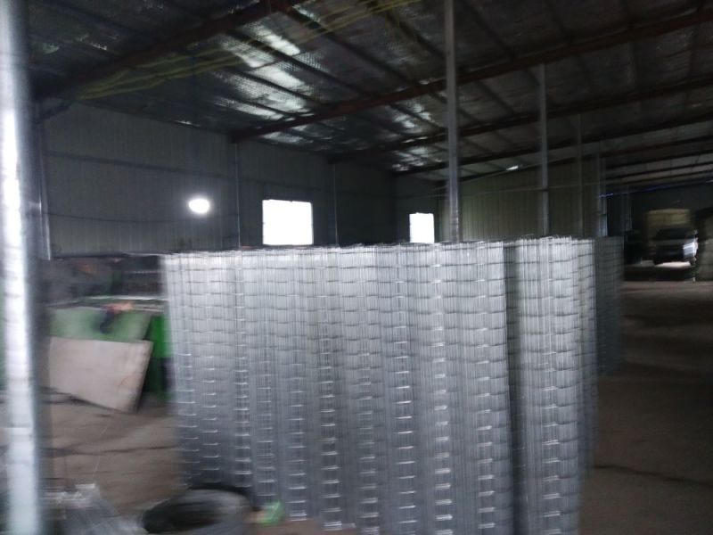 荷兰网，护栏网，养殖网，玉米网