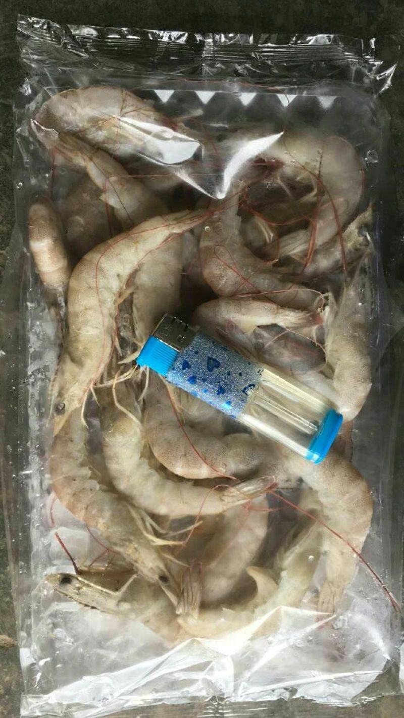 水产海必鲜全规格