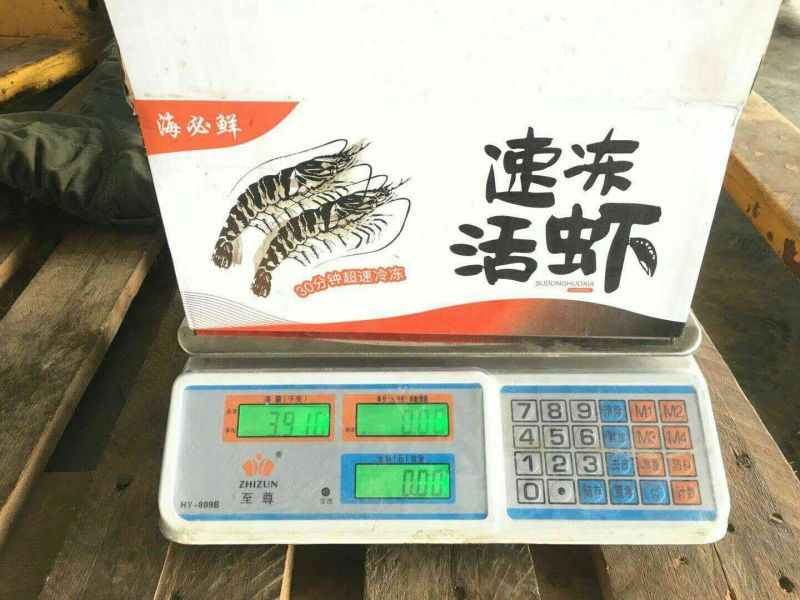 水产海必鲜全规格