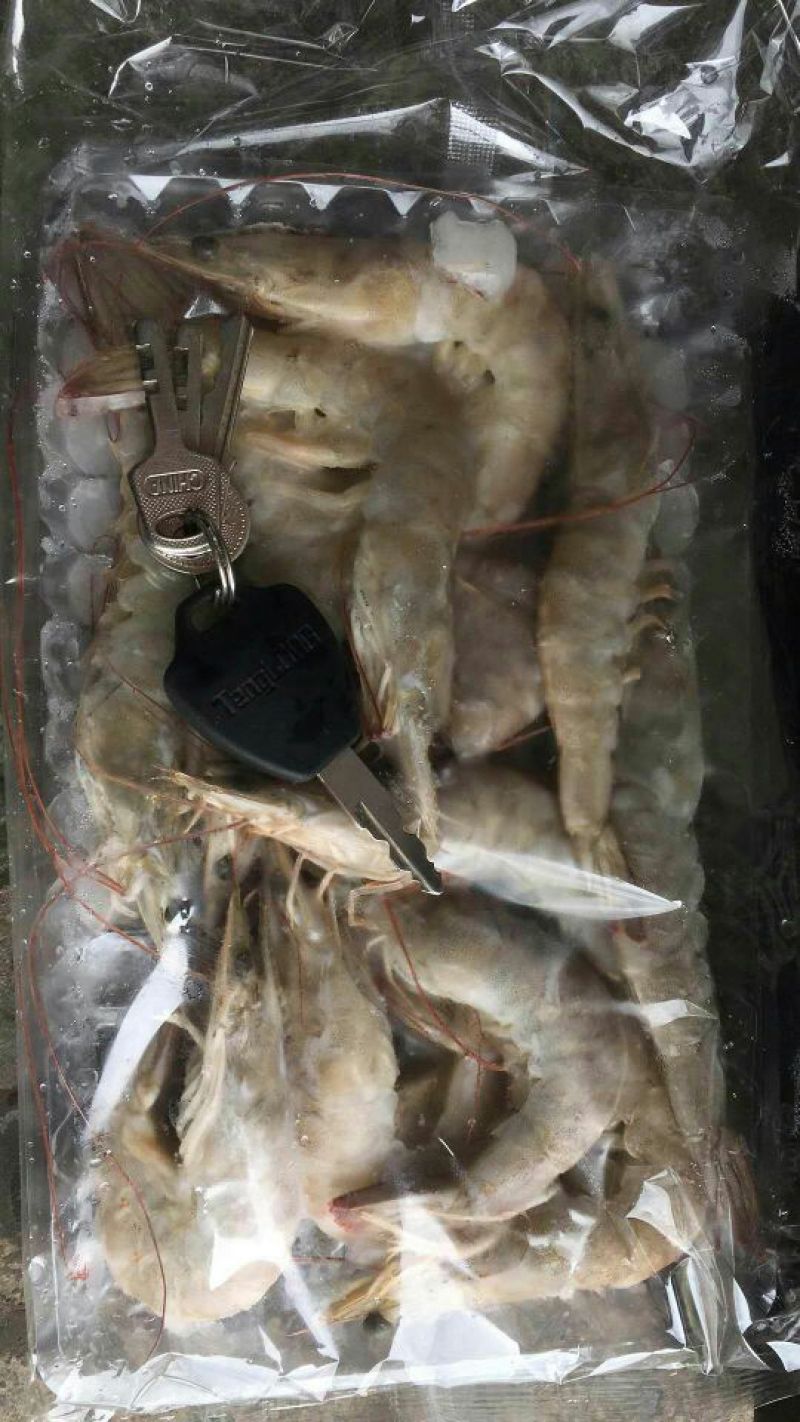 水产海必鲜全规格