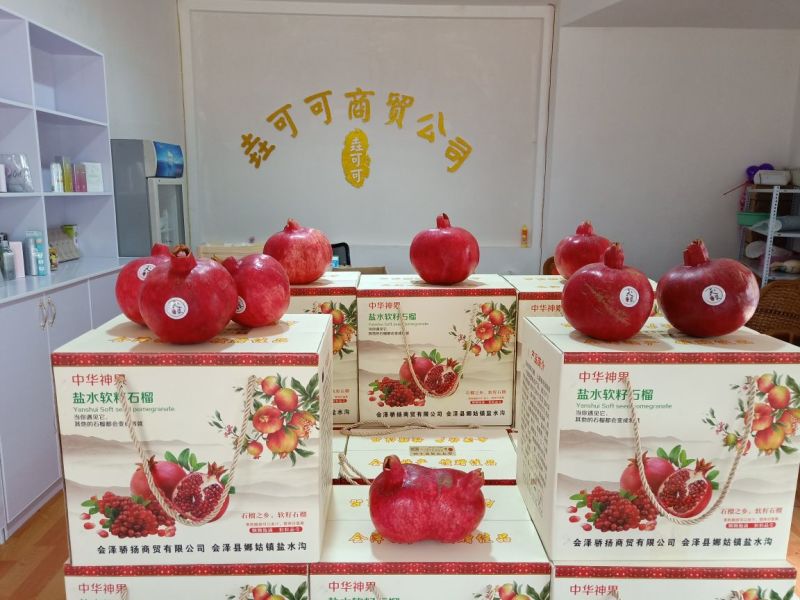 会泽软籽石榴，直营店到一批