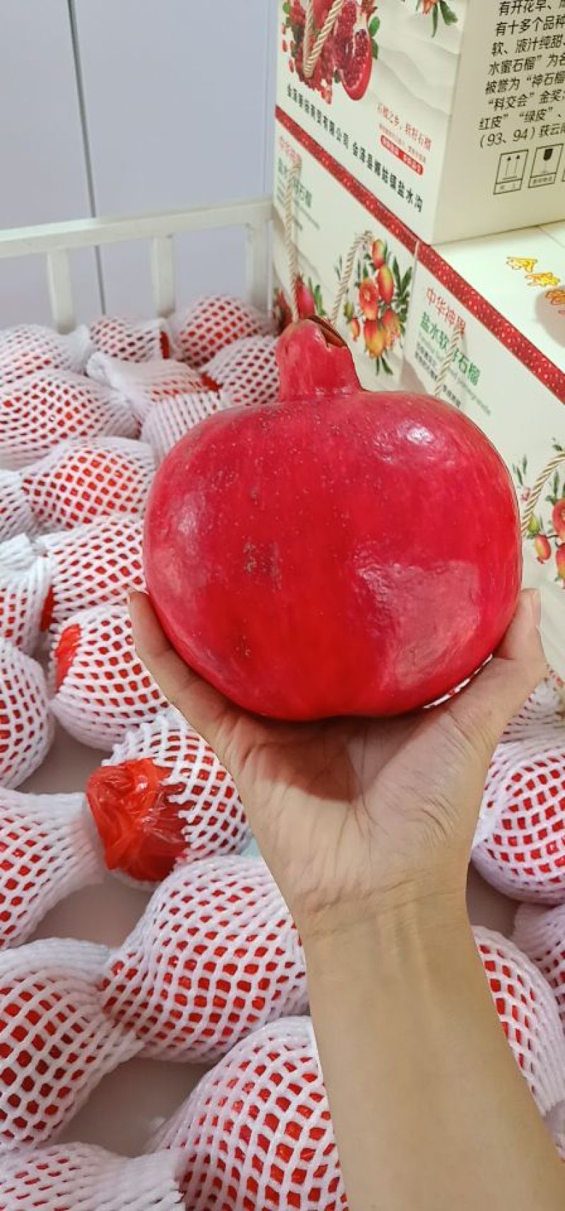 会泽软籽石榴，直营店到一批