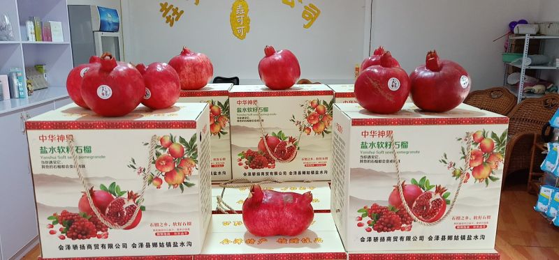 会泽软籽石榴，直营店到一批