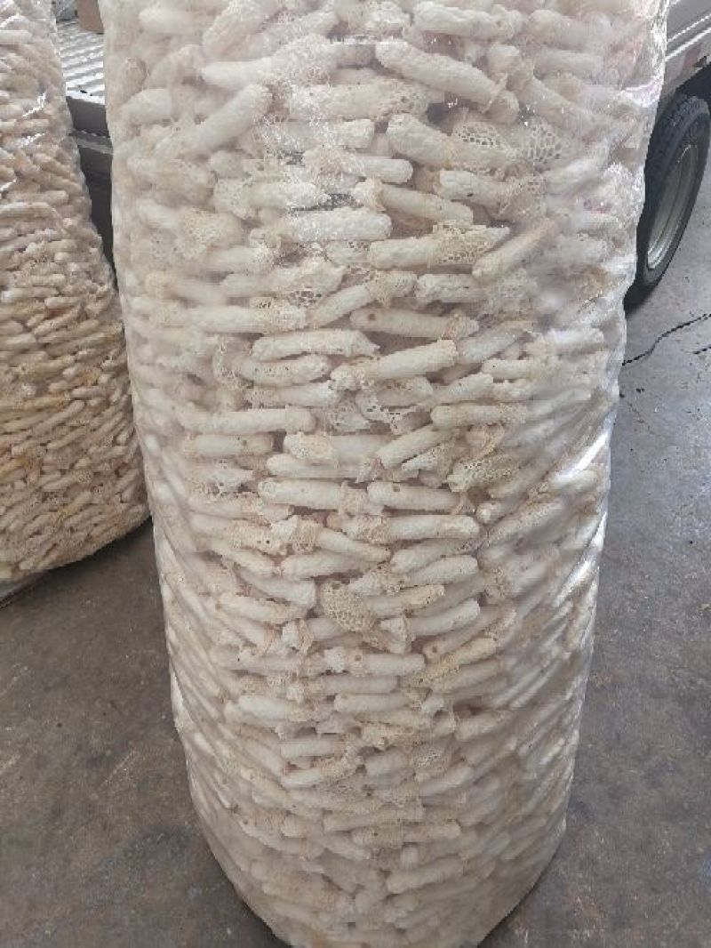 野生菌