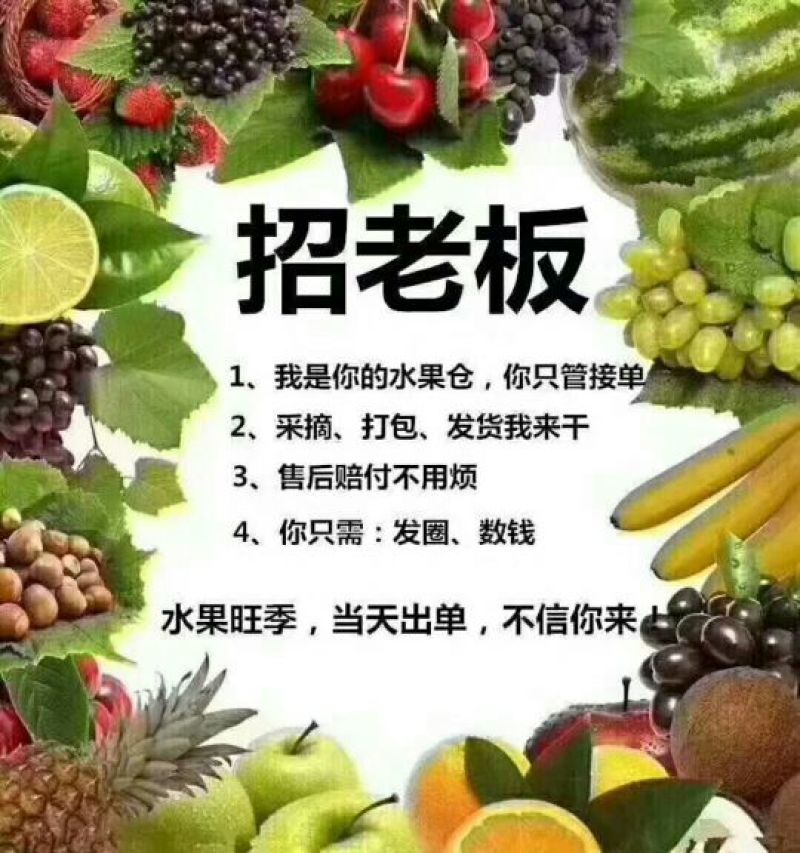 徐香猕猴桃。80克以上