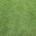 马尼拉草皮，大叶油草