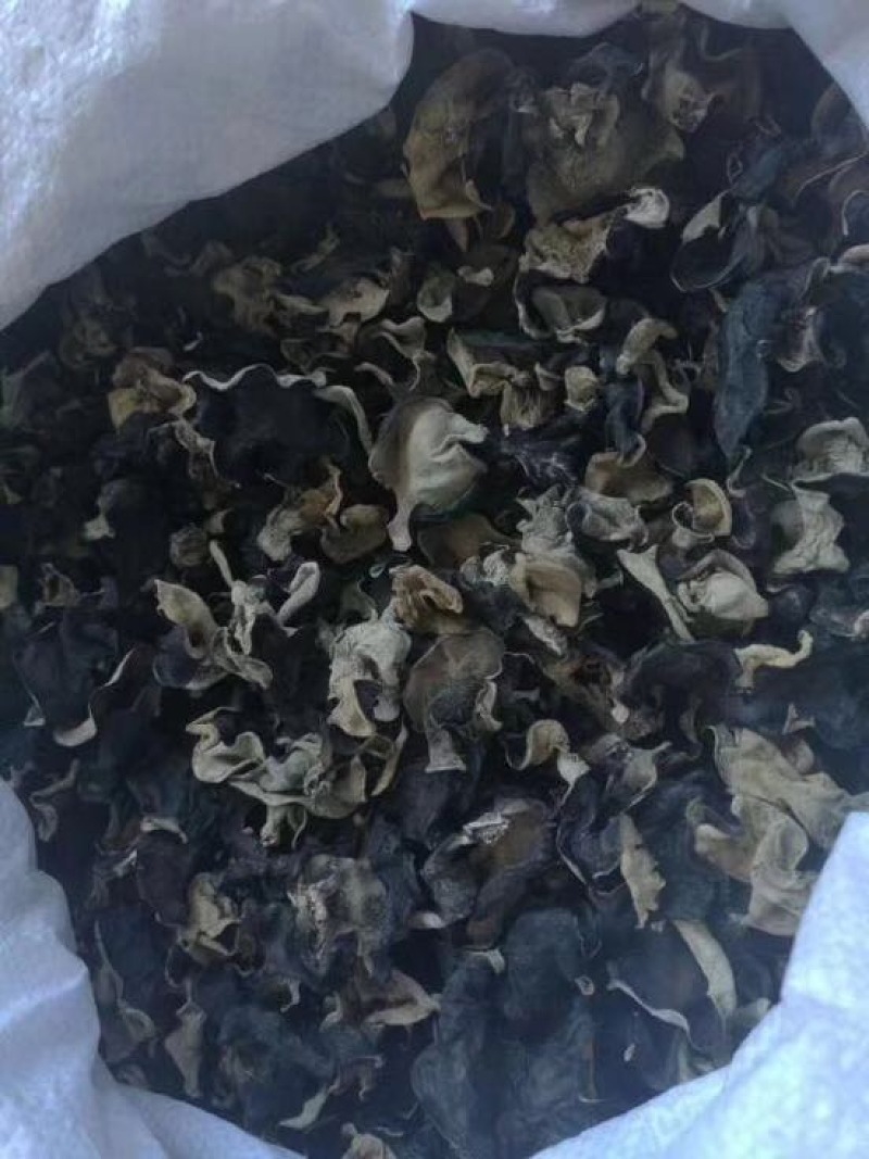 地摊热卖毛木耳纯干货基地直供火锅串串食堂专供