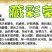 胎菊王散装