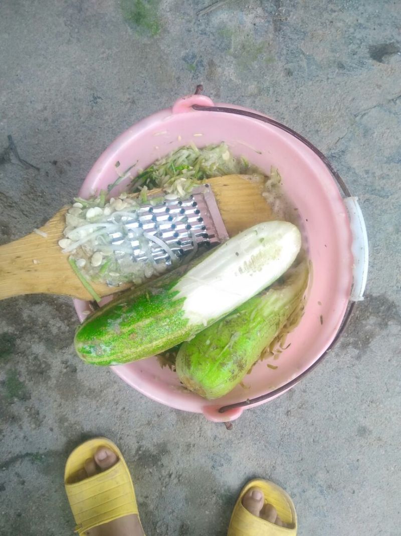 蔬菜鸡鸭