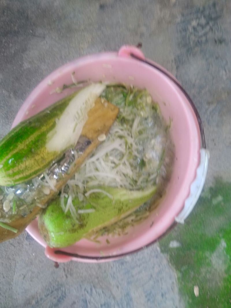 蔬菜鸡鸭