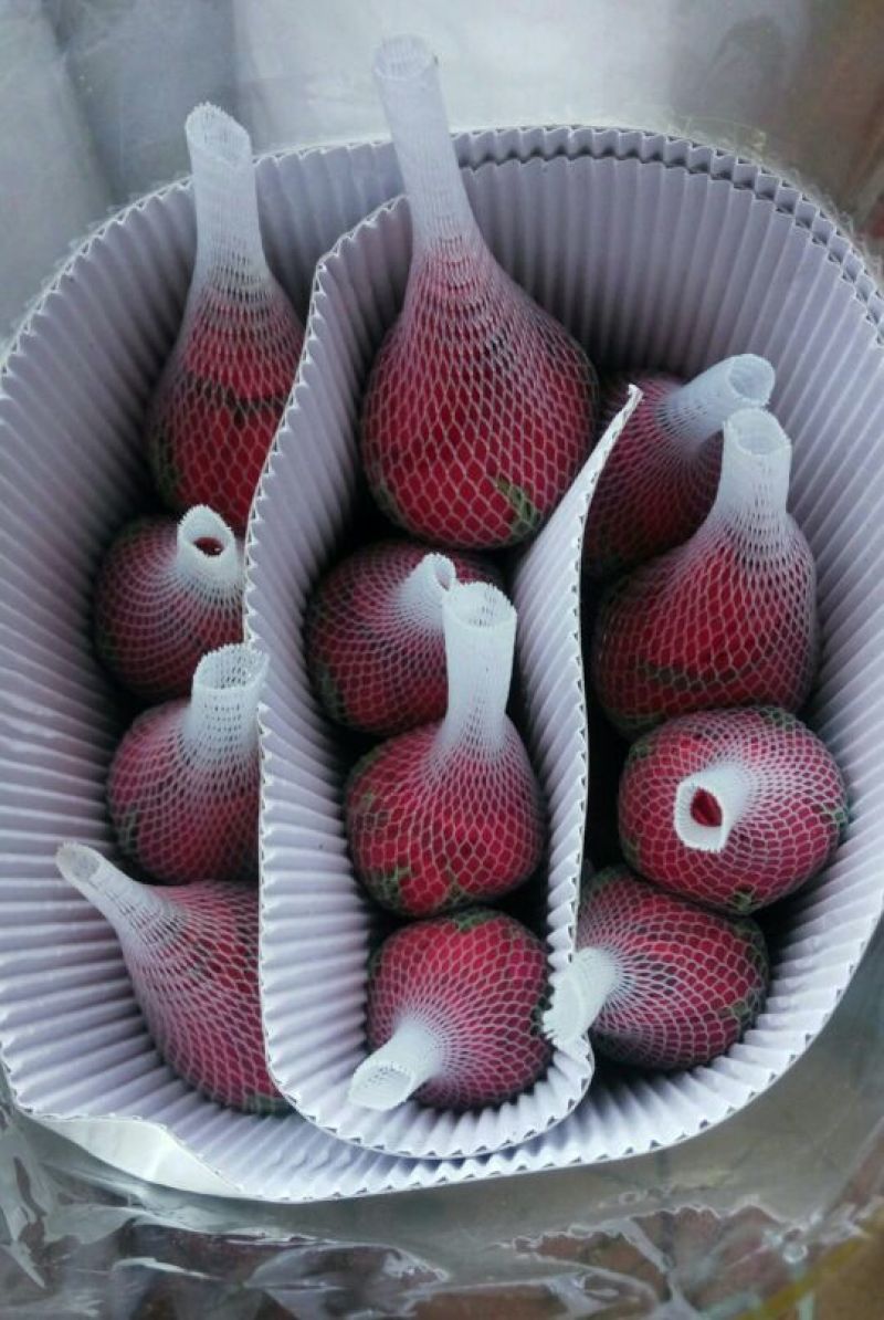 鲜切花玫瑰ab级别