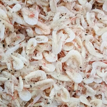 渤海湾虾皮，一级虾皮
