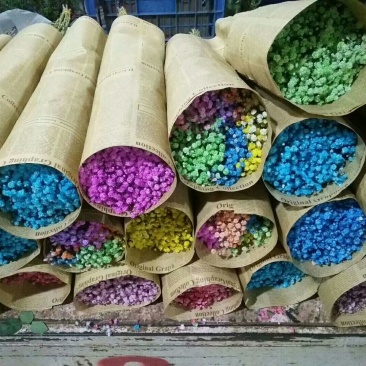 满天星大量供应