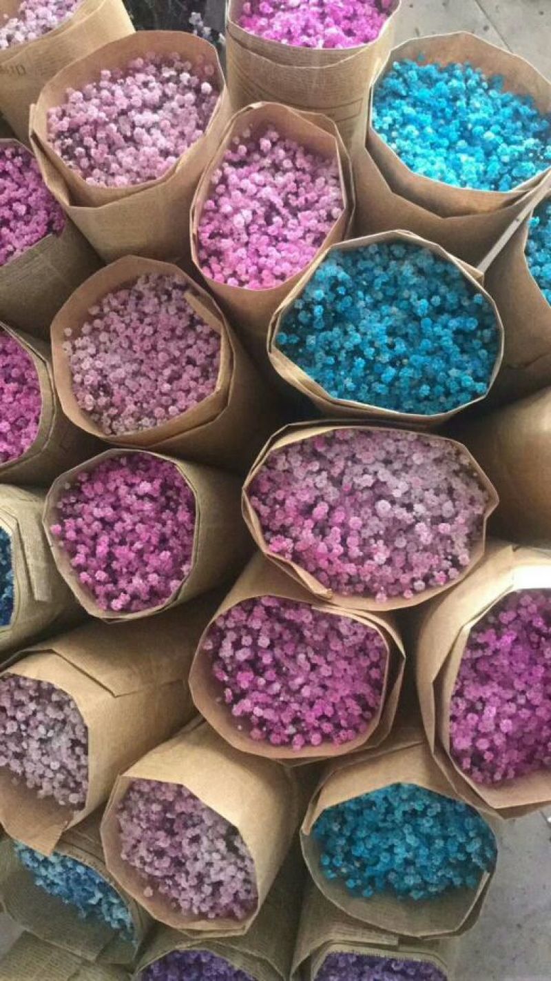满天星大量供应