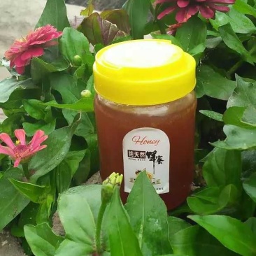 纯野生蜂蜜
