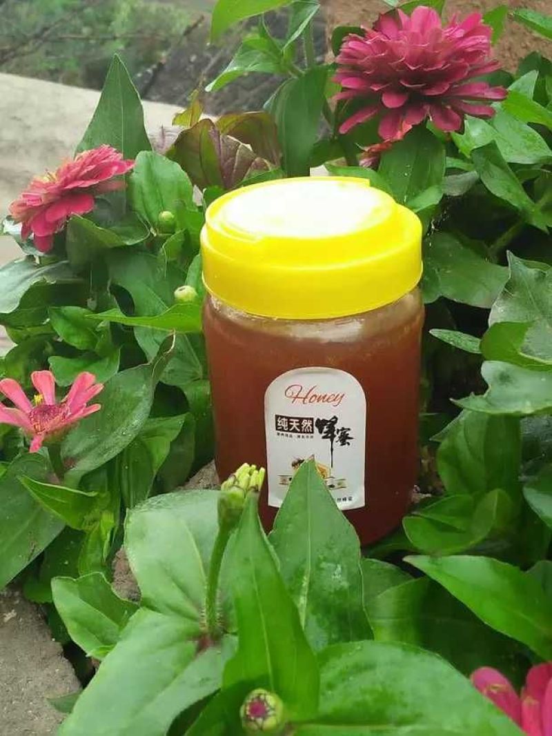 纯野生蜂蜜