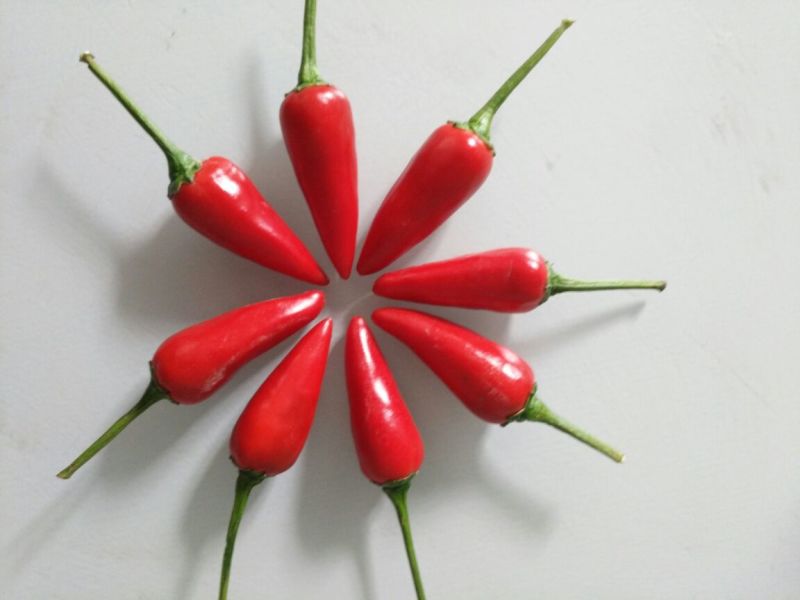 精品草莓椒
