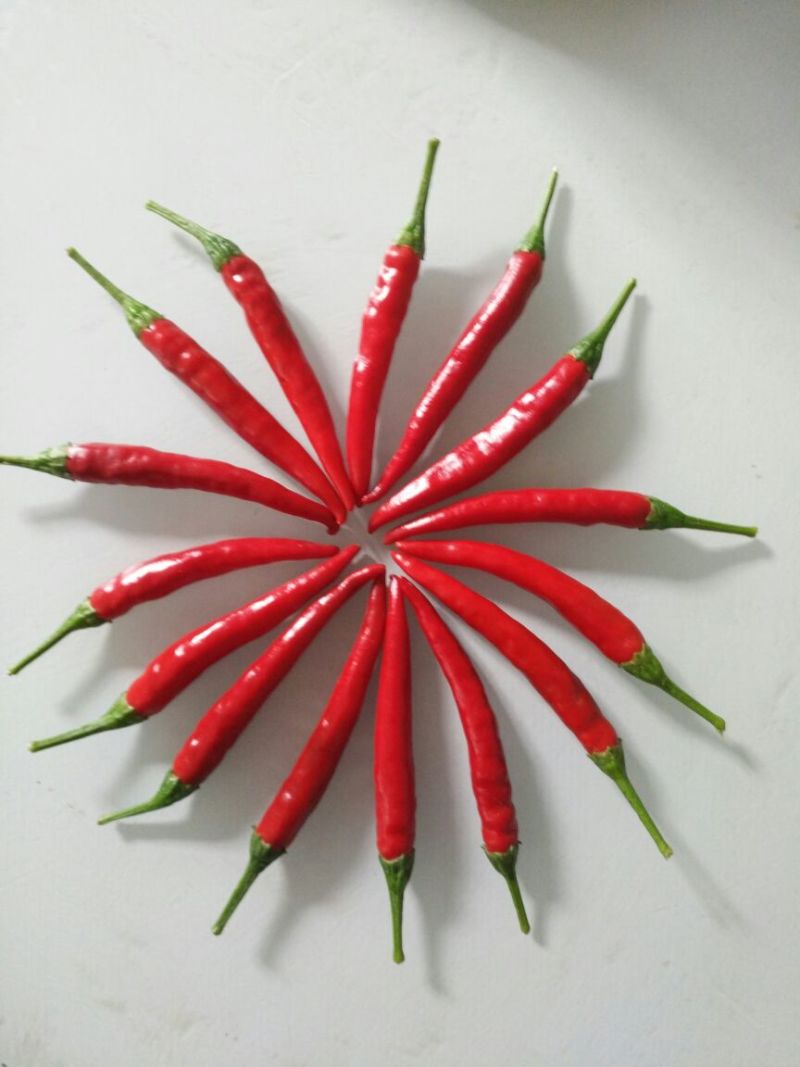 精品草莓椒