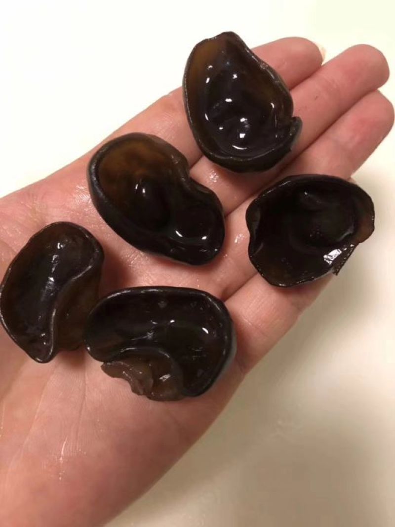 批发东北黑木耳小碗木耳
