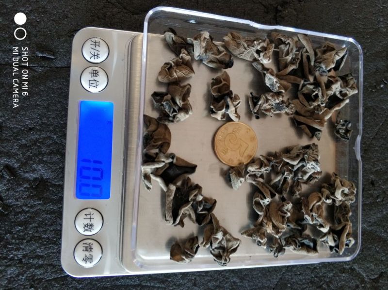 批发东北黑木耳小碗木耳