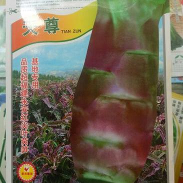 天尊红莴笋种子产量高