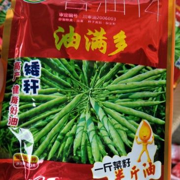 油菜种子