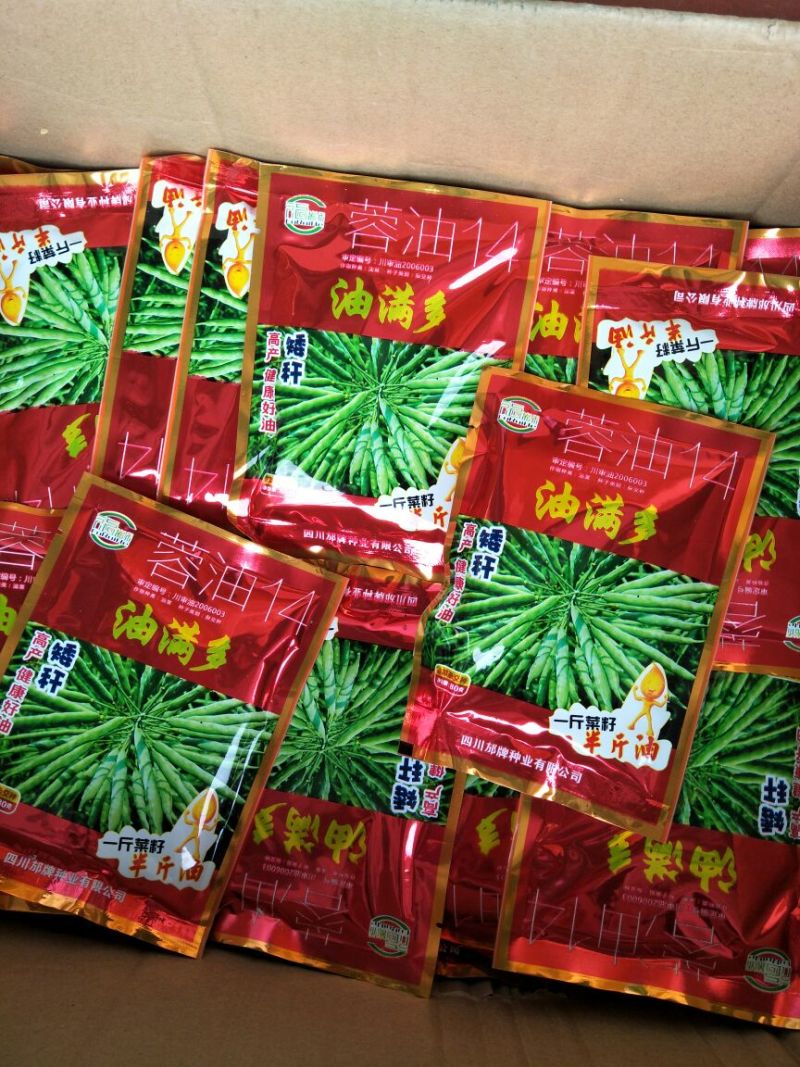 油菜种子