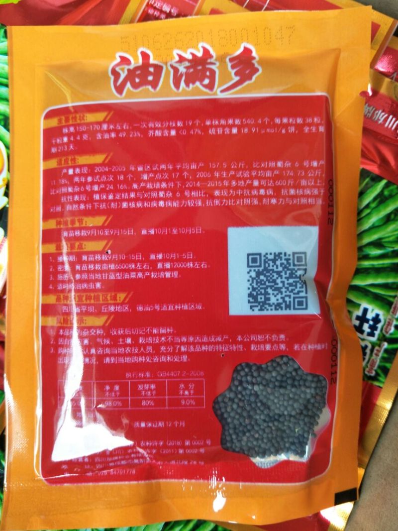 油菜种子