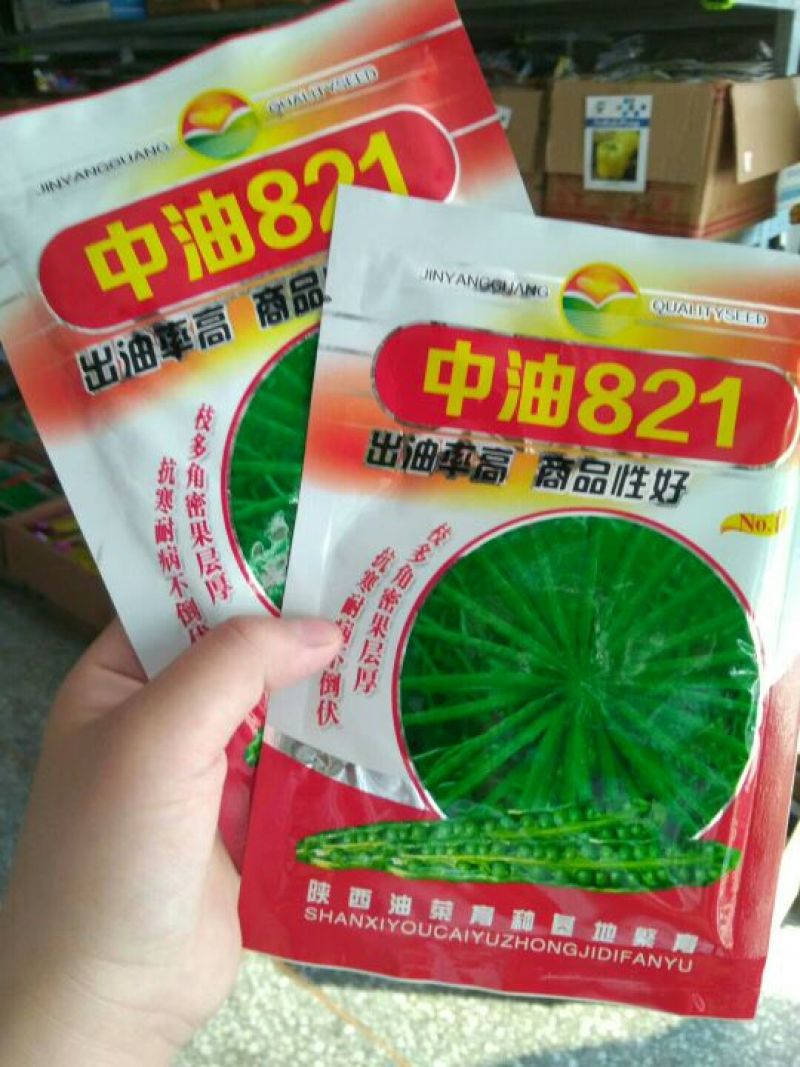 油菜种子