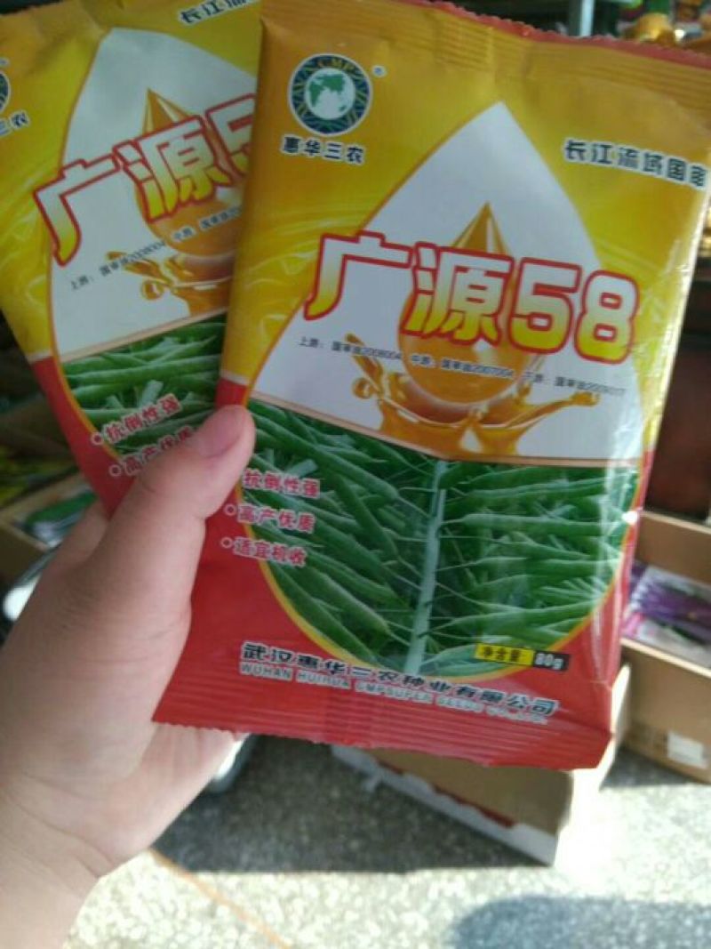 油菜种子