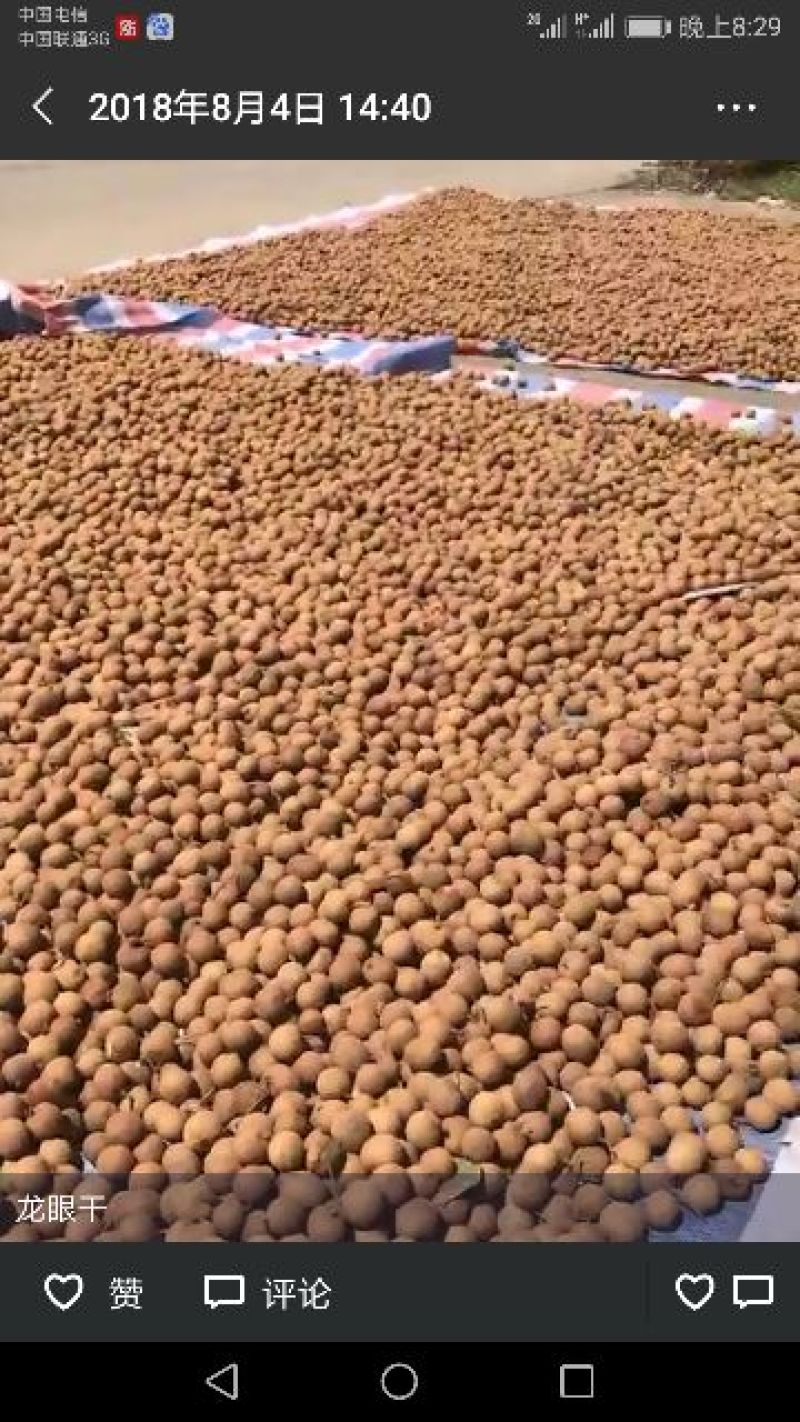 桂圆