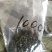 铁观音500克/袋原香新茶包邮