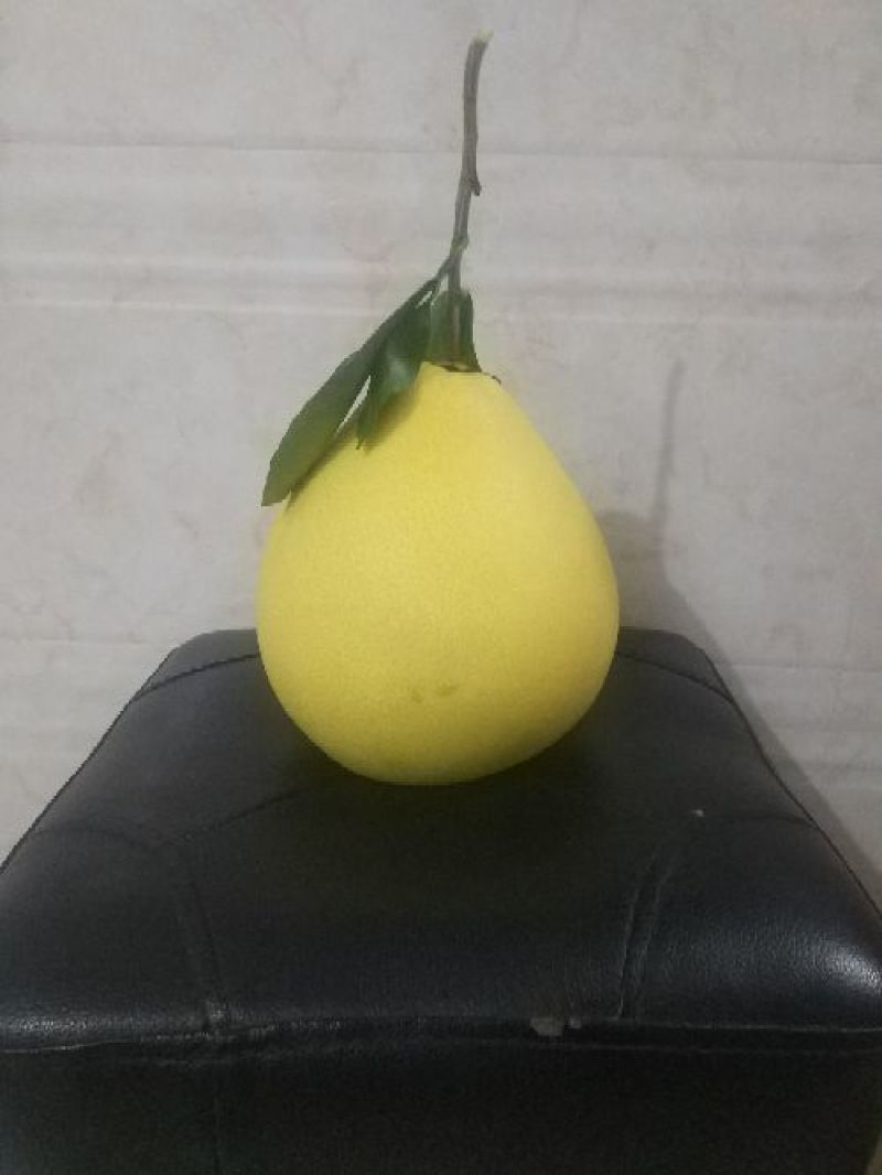 蜜柚