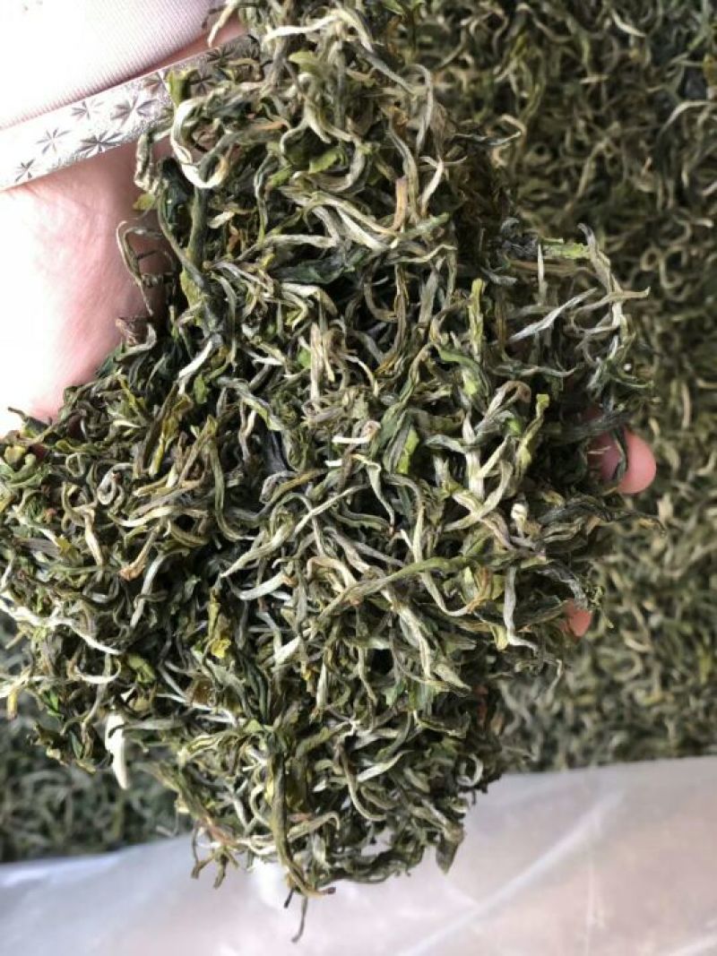 绿茶滇绿春茶特级翠茗一级银丝早春普洱茶
