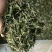绿茶滇绿春茶特级翠茗一级银丝早春普洱茶