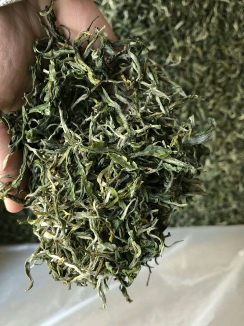 绿茶滇绿春茶特级翠茗一级银丝早春普洱茶