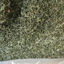 绿茶滇绿春茶特级翠茗一级银丝早春普洱茶