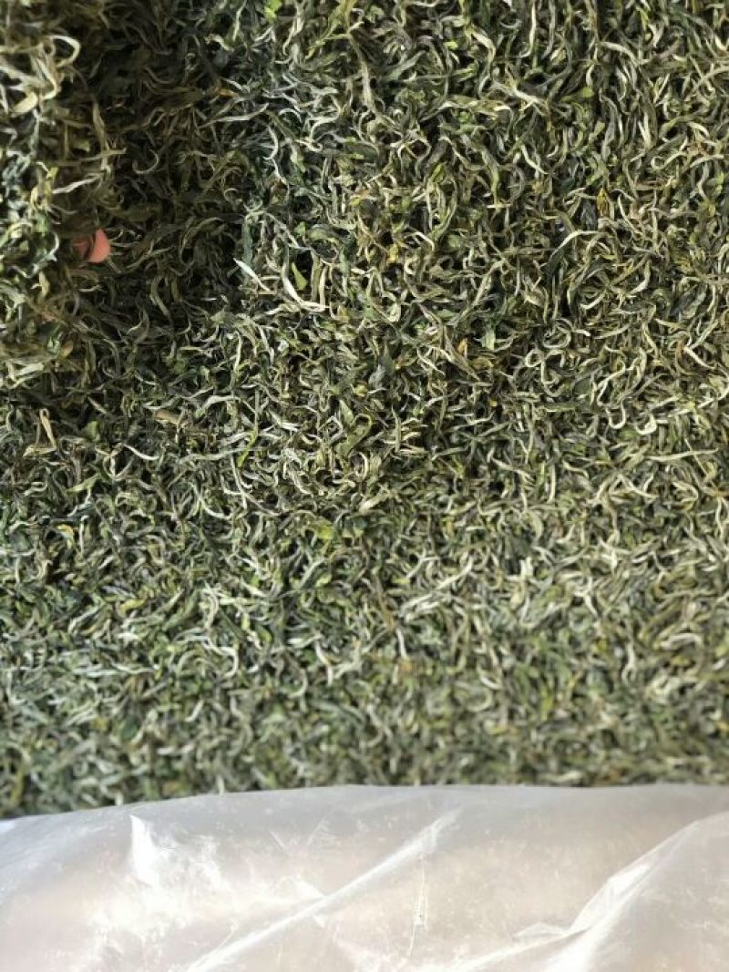 绿茶滇绿春茶特级翠茗一级银丝早春普洱茶