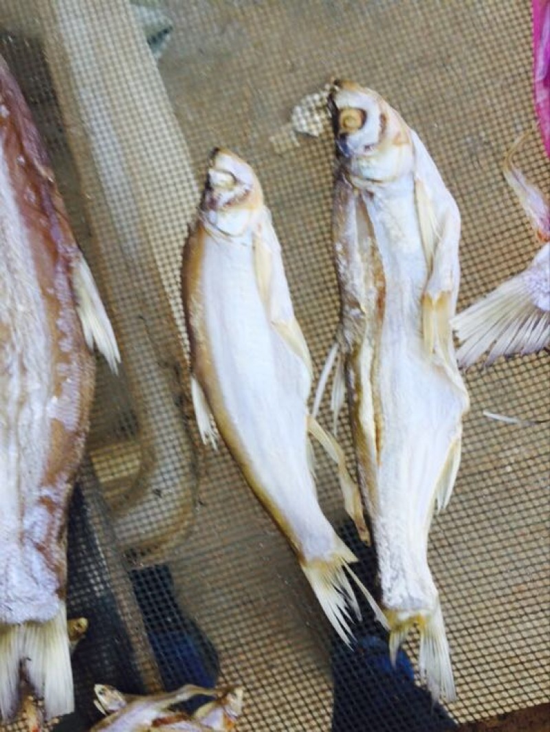 鱼干日晒鱼干