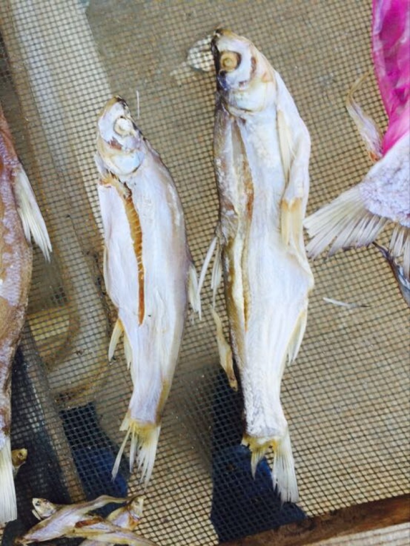鱼干日晒鱼干