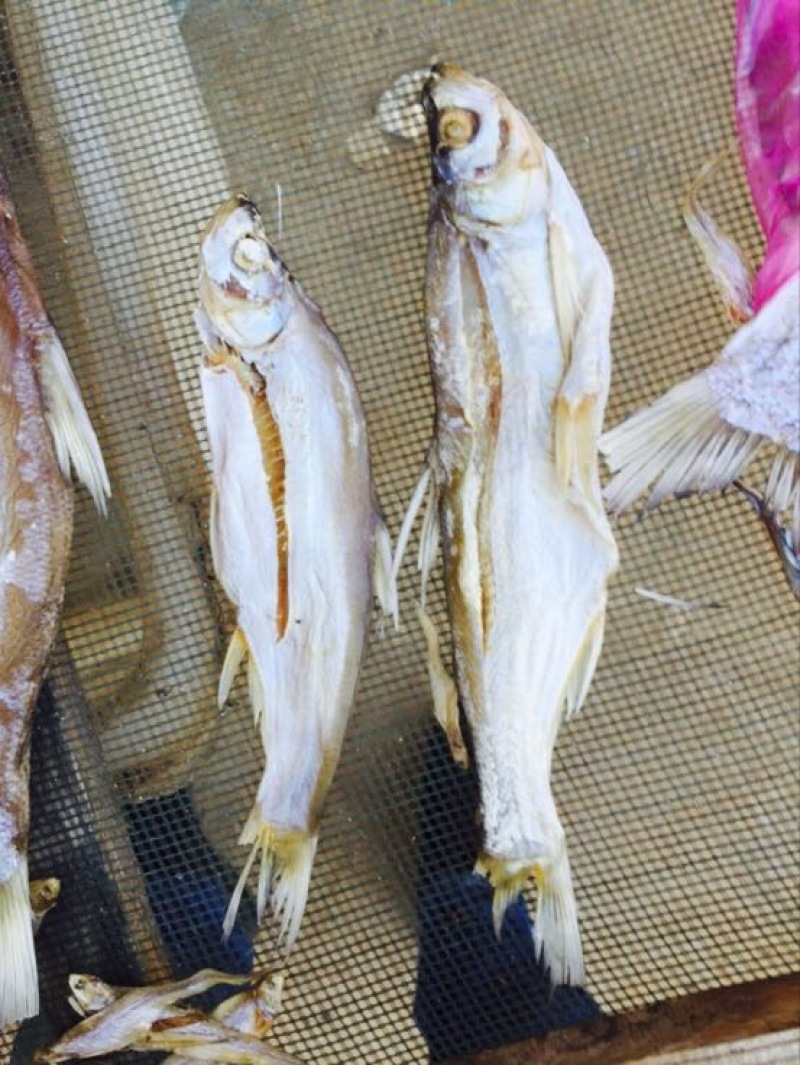 鱼干日晒鱼干