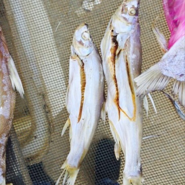 鱼干日晒鱼干