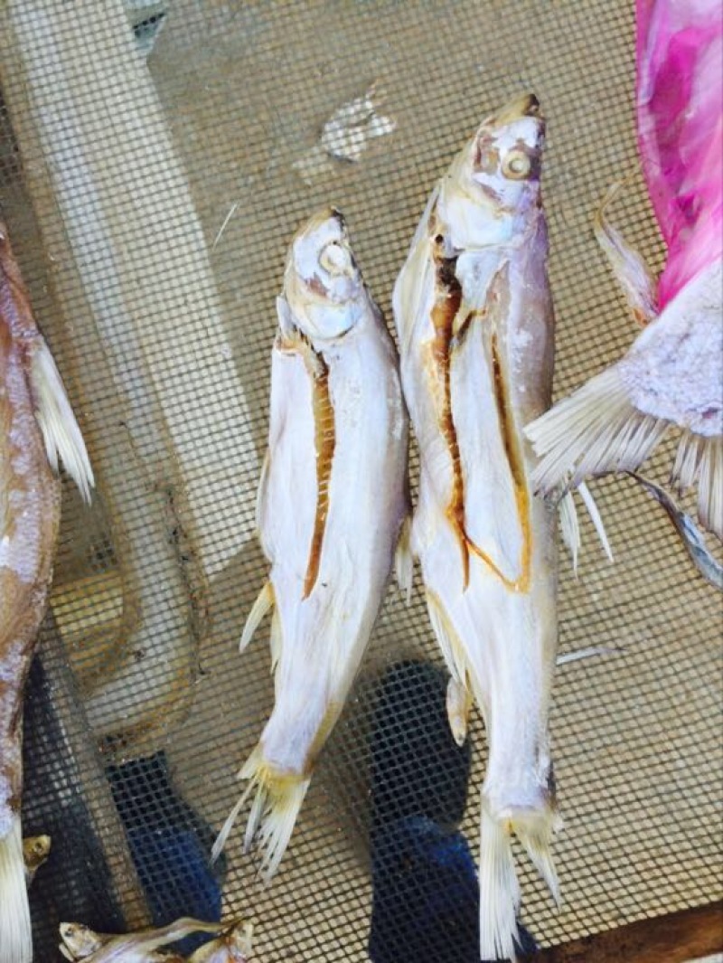 鱼干日晒鱼干