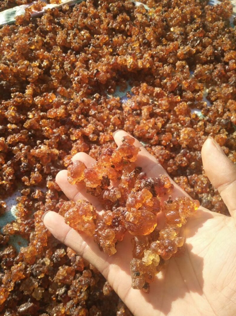 各种品质桃胶