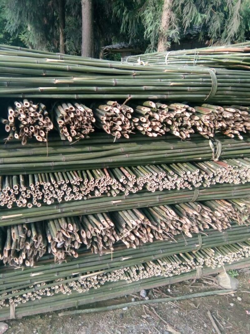 菜架竹，大棚竹，扶树竹竿，白夹竹斑竹出售1.1米至7米