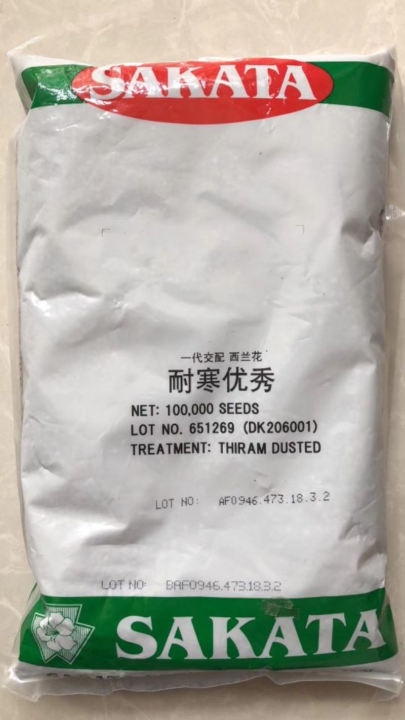 西兰花苗耐寒优秀