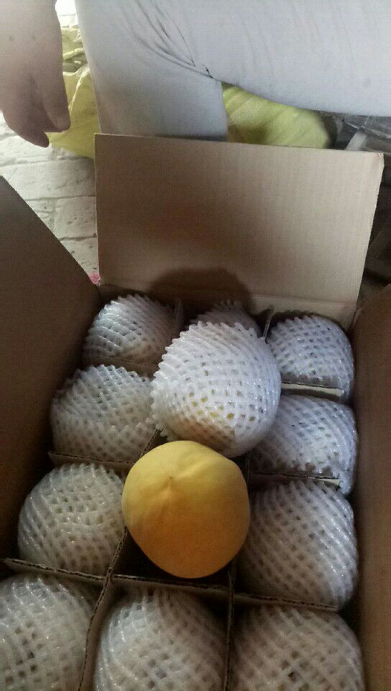 黄桃在装箱之中，需要的快递联系发货