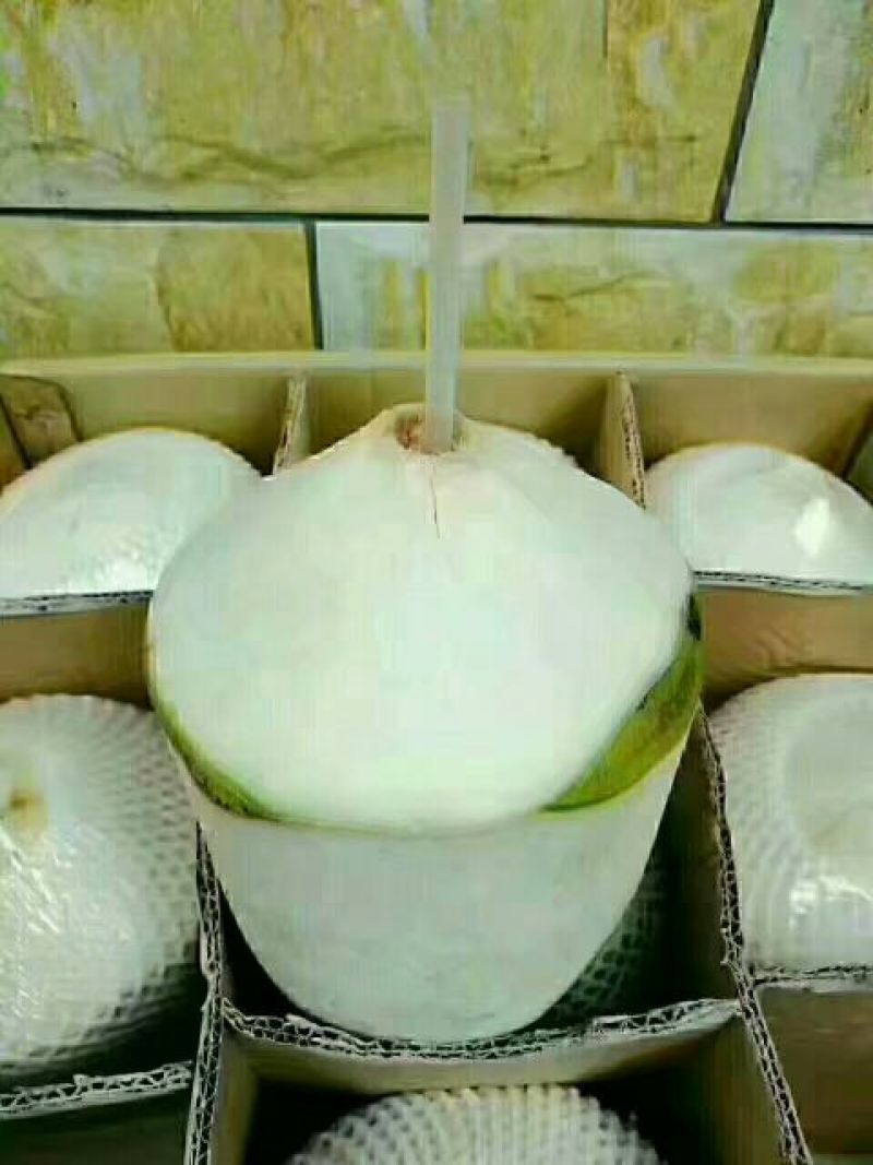 海南椰青