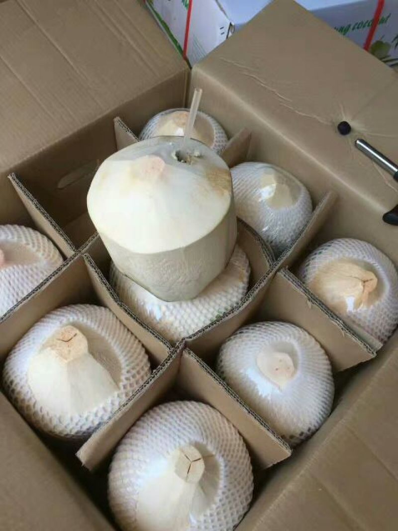 海南椰青