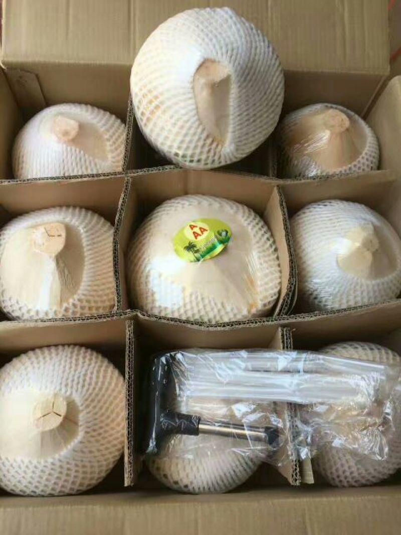海南椰青
